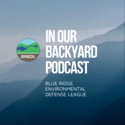 In Our Backyard Podcast artwork