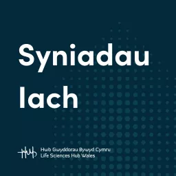 Syniadau Iach Podcast artwork