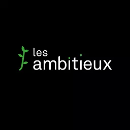 Les Ambitieux