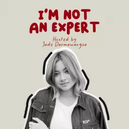 I'm Not An Expert Podcast artwork