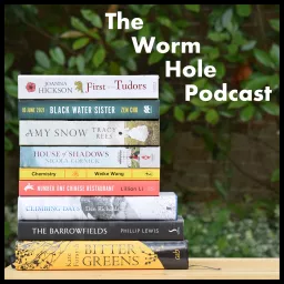 The Worm Hole Podcast artwork
