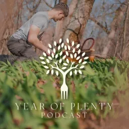 Year of Plenty Podcast artwork