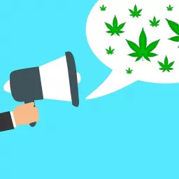 Cannabis News Podcast artwork
