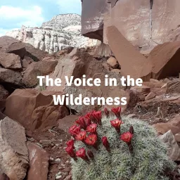 The Voice in the Wilderness: A podcast to reorient humanity