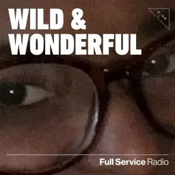 Wild and Wonderful with Allison Lane Podcast artwork