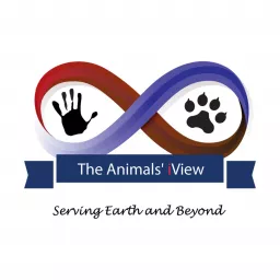 The Animals' iView with Lizanne Flynn Podcast artwork