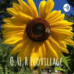 An Ecovillage Podcast artwork
