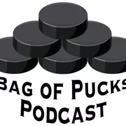 Bag of Pucks