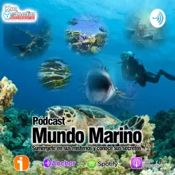 Mundo Marino Podcast artwork