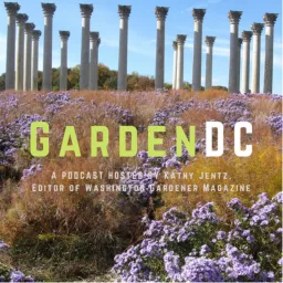 GardenDC: The Podcast about Mid-Atlantic Gardening artwork