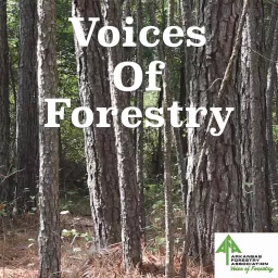 Voices of Forestry Podcast artwork