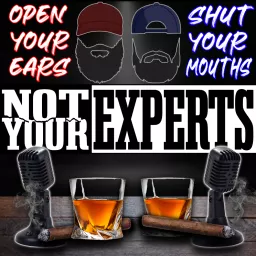 Not Your Experts Podcast artwork