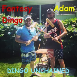 Podcasts - FANTASY DINGO artwork
