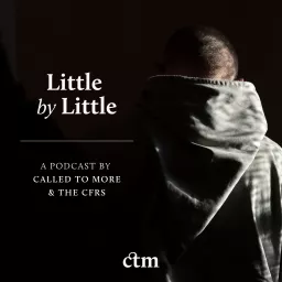 Little by Little Podcast artwork