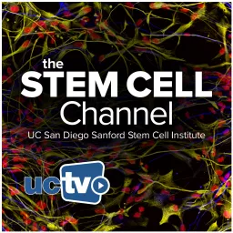 Stem Cell Channel (Video)