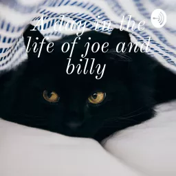 A day in the life of joe and billy