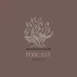 The Light Through Fire Podcast artwork