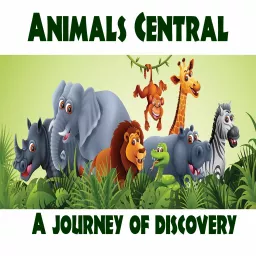Animals Central Podcast artwork