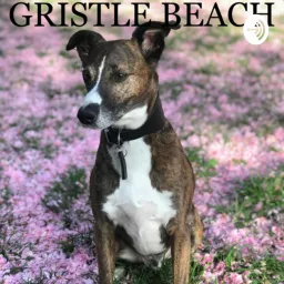 Gristle Beach Podcast artwork