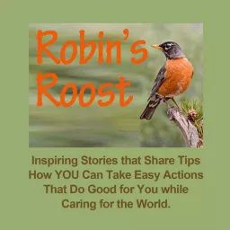Robin's Roost: Inspiring Stories Changing Lifes Podcast artwork