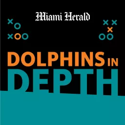 Dolphins in Depth