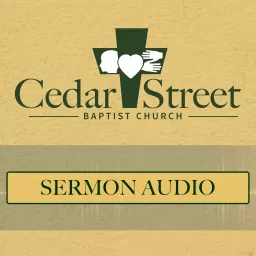 Cedar Street Baptist Church (Metter, GA) Podcast artwork