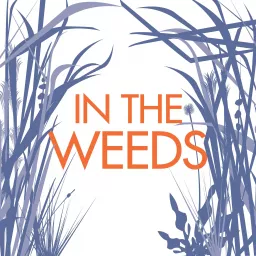 In the Weeds Podcast artwork