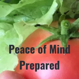 Peace of Mind Prepared Podcast artwork