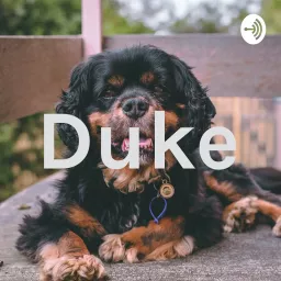Duke Podcast artwork
