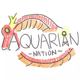 The Aquarian Nation Podcast artwork