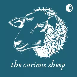 The Curious Sheep Podcast artwork
