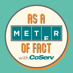 As A Meter Of Fact Podcast artwork