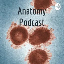 Anatomy Podcast artwork