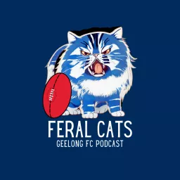 Feral Cats-Geelong