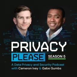 Privacy Please Podcast artwork