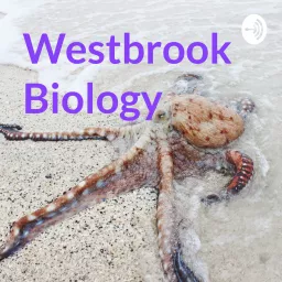 Westbrook Biology Podcast artwork