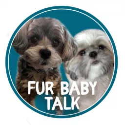 Fur Baby Talk Podcast artwork