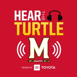 Hear The Turtle Podcast artwork