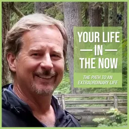 Your Life in the Now Podcast artwork
