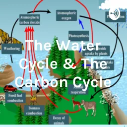 The Water Cycle & The Carbon Cycle Podcast artwork
