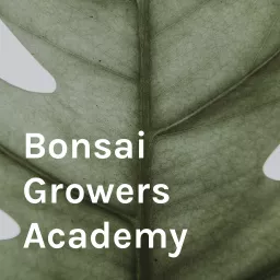 Bonsai Growers Academy Podcast artwork