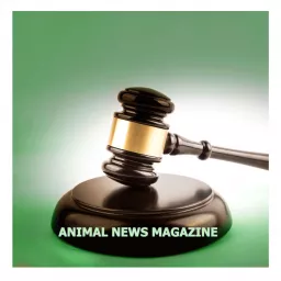 Animal News Magazine Podcast artwork