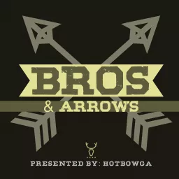 Bros & Arrows Podcast artwork