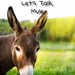 Let’s Talk, Mule Podcast artwork