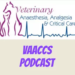 VAACCS Podcast artwork