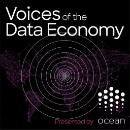 Voices of the Data Economy Podcast artwork