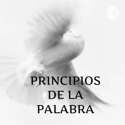 Principios De La Palabra Podcast artwork