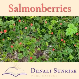 Salmonberries Podcast artwork