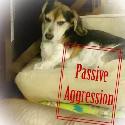 Passive Aggression Podcast artwork