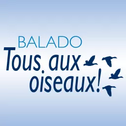 Tous aux oiseaux! Podcast artwork